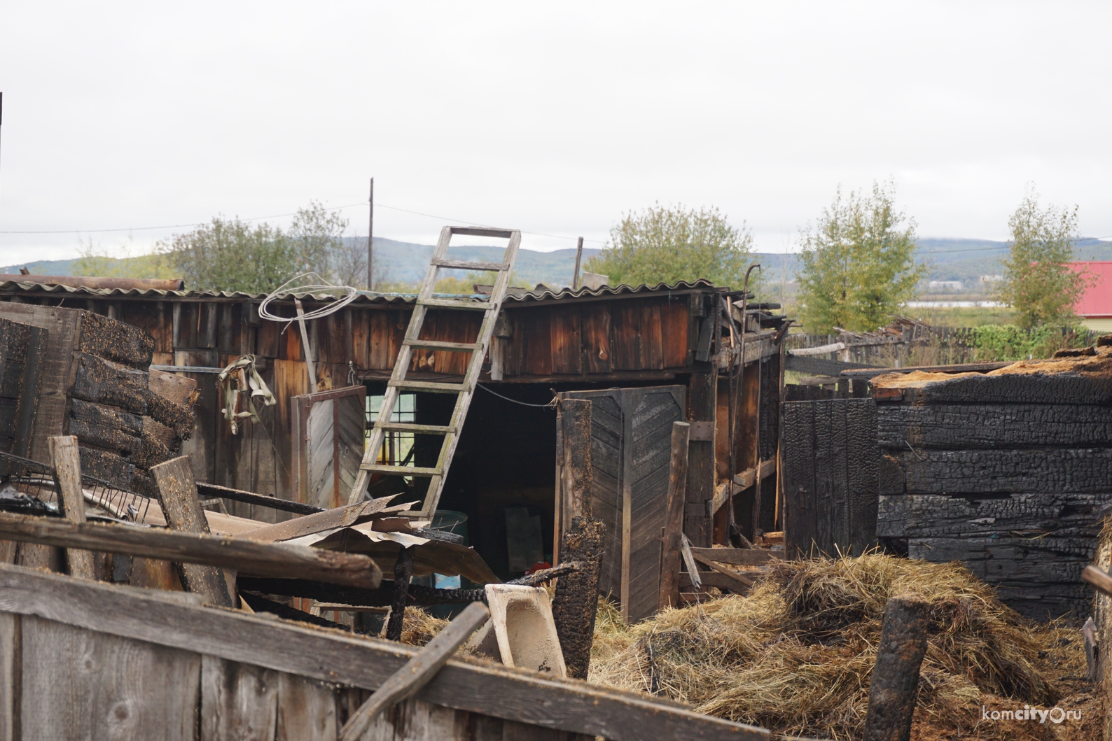 Жертвами крупного пожара в посёлке Хорпинском Комсомольска-на-Амуре стали 23 свиньи, а также козы и куры