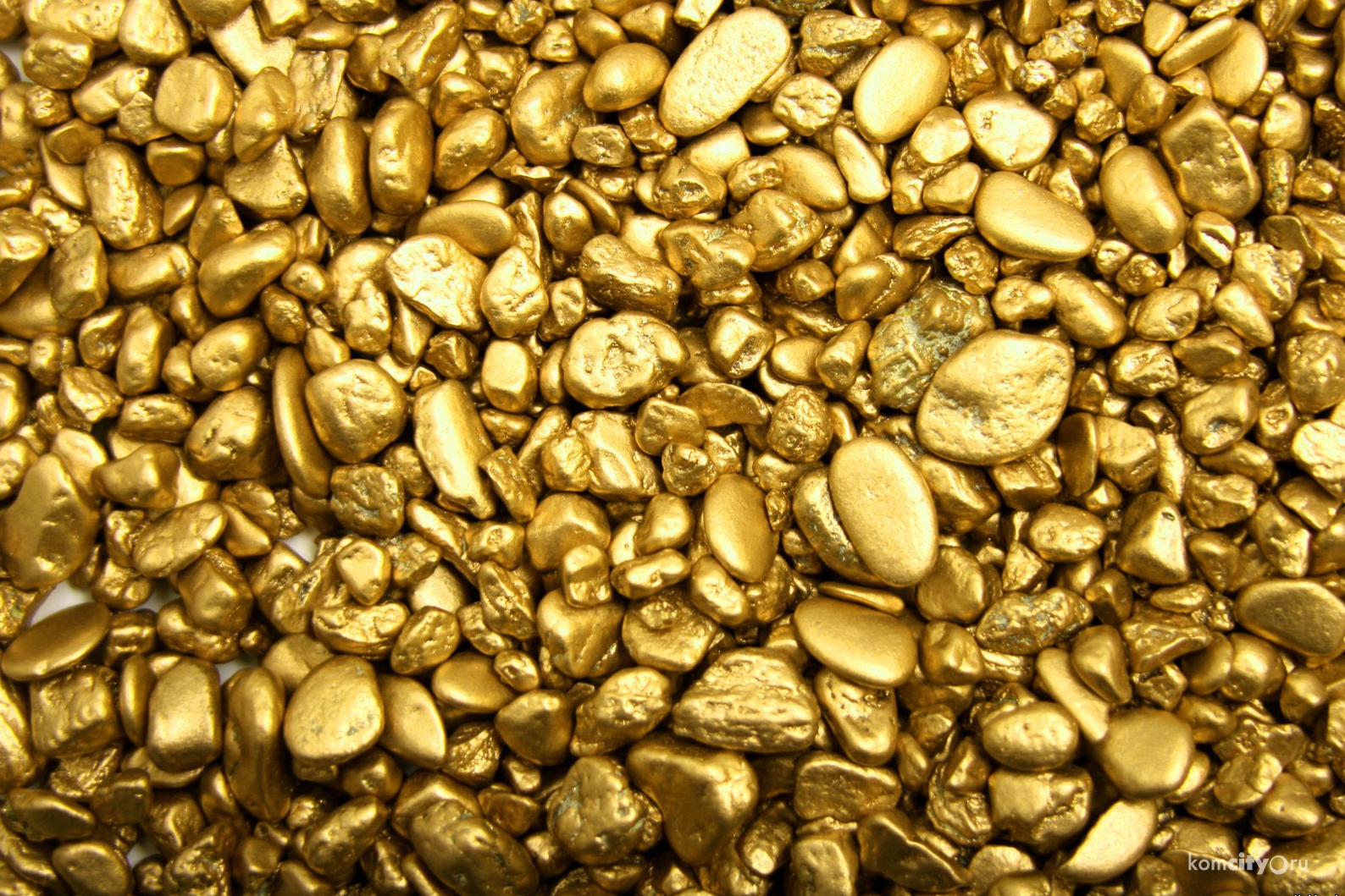 Геологи ищут золото под Комсомольском-на-Амуре