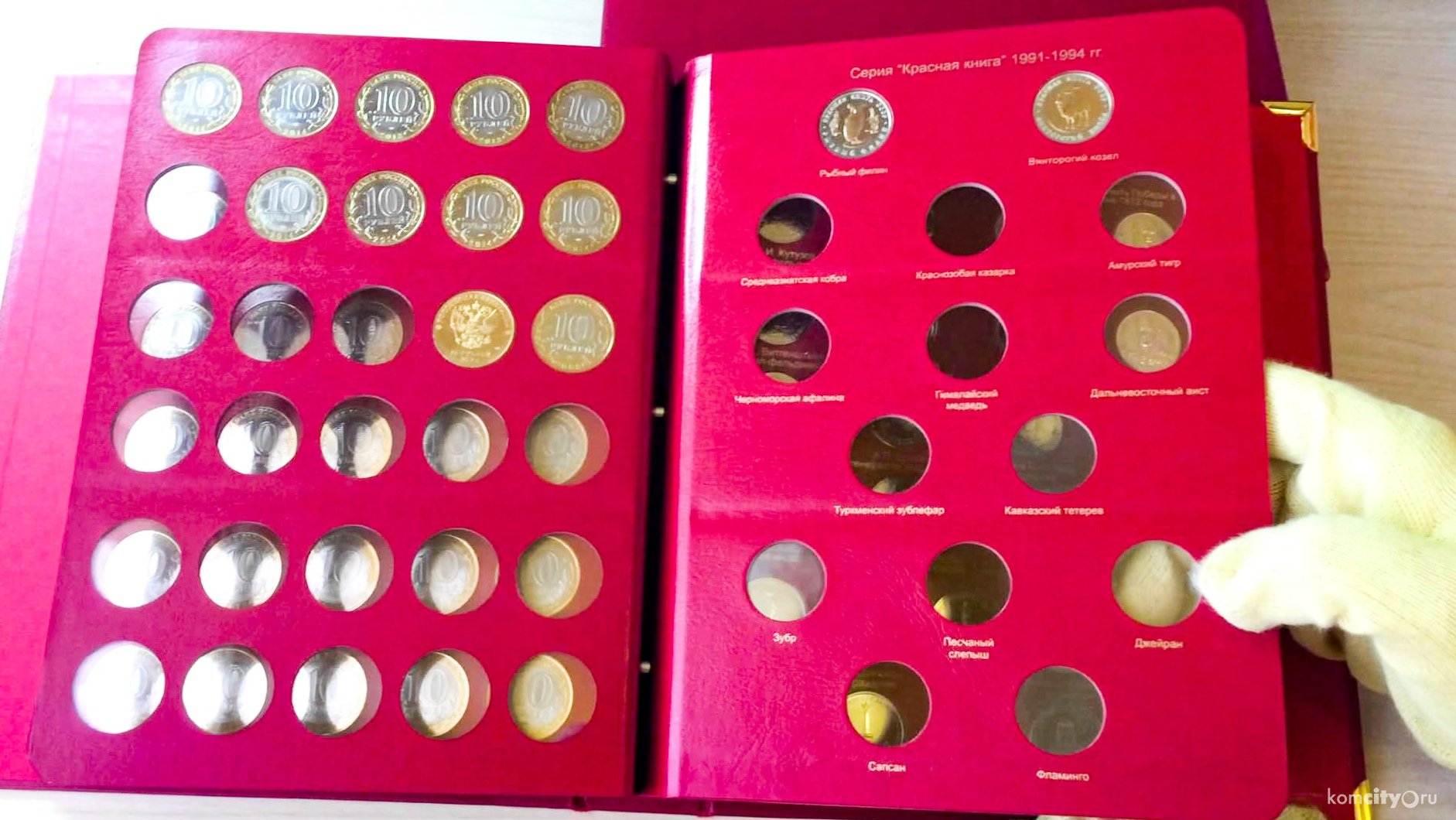 18-летняя жительница Комсомольска-на-Амуре пропила коллекцию монет знакомого нумизмата