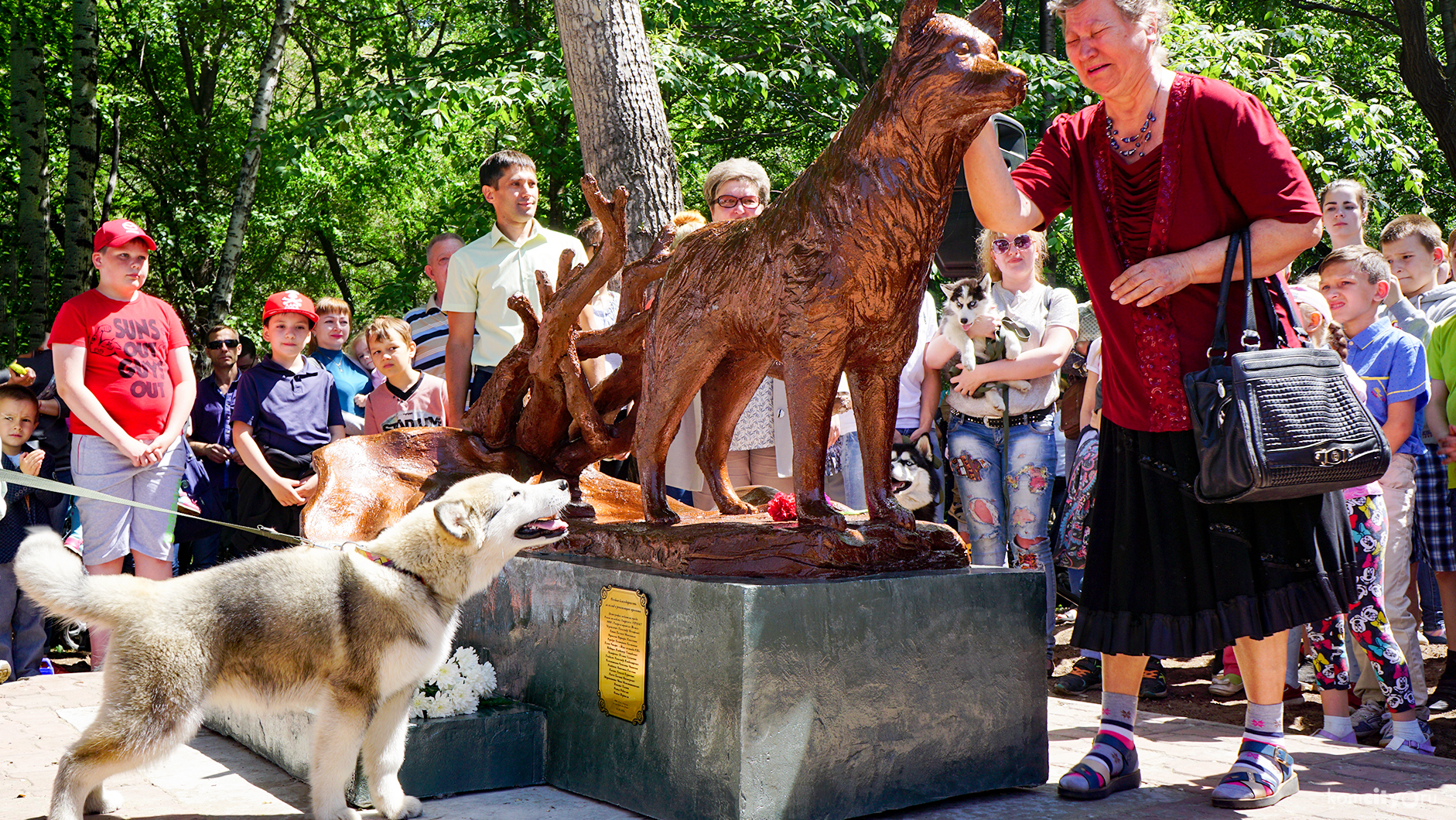 В Комсомольске-на-Амуре открыли памятник самой преданной собаке