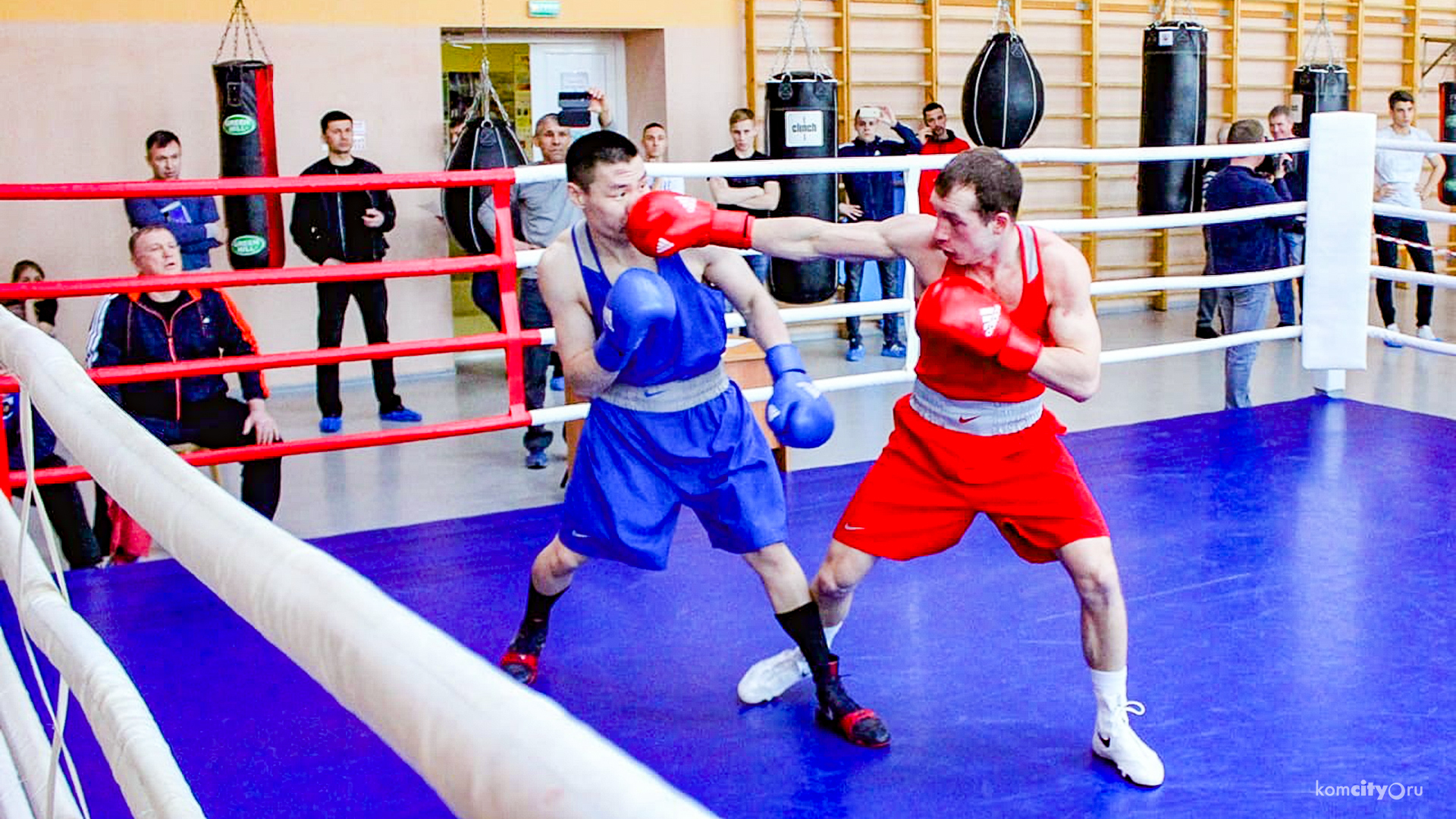 Два «золота» завоевали боксёры из Комсомольска-на-Амуре на краевом чемпионате