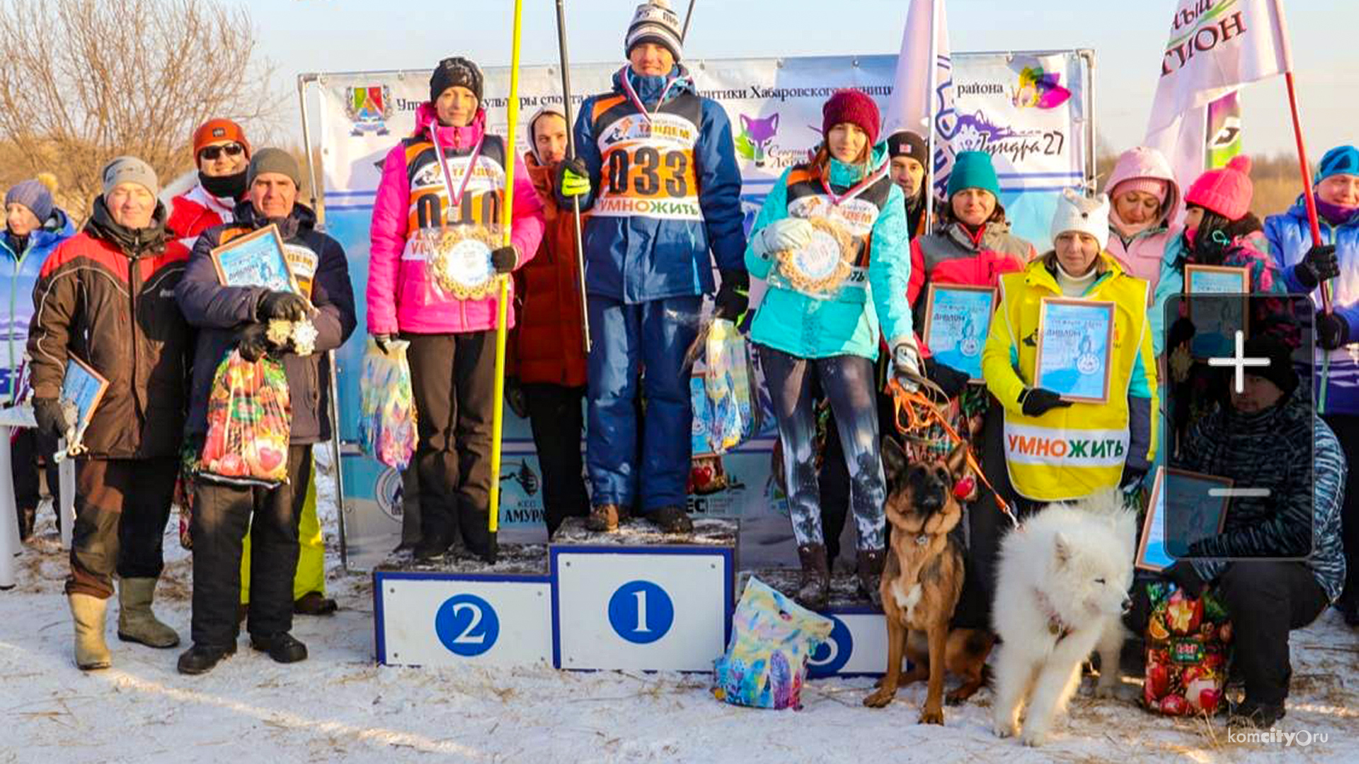 Комсомольчане привезли два «золота» с соревнований по ездовому спорту «Снежный драйв»
