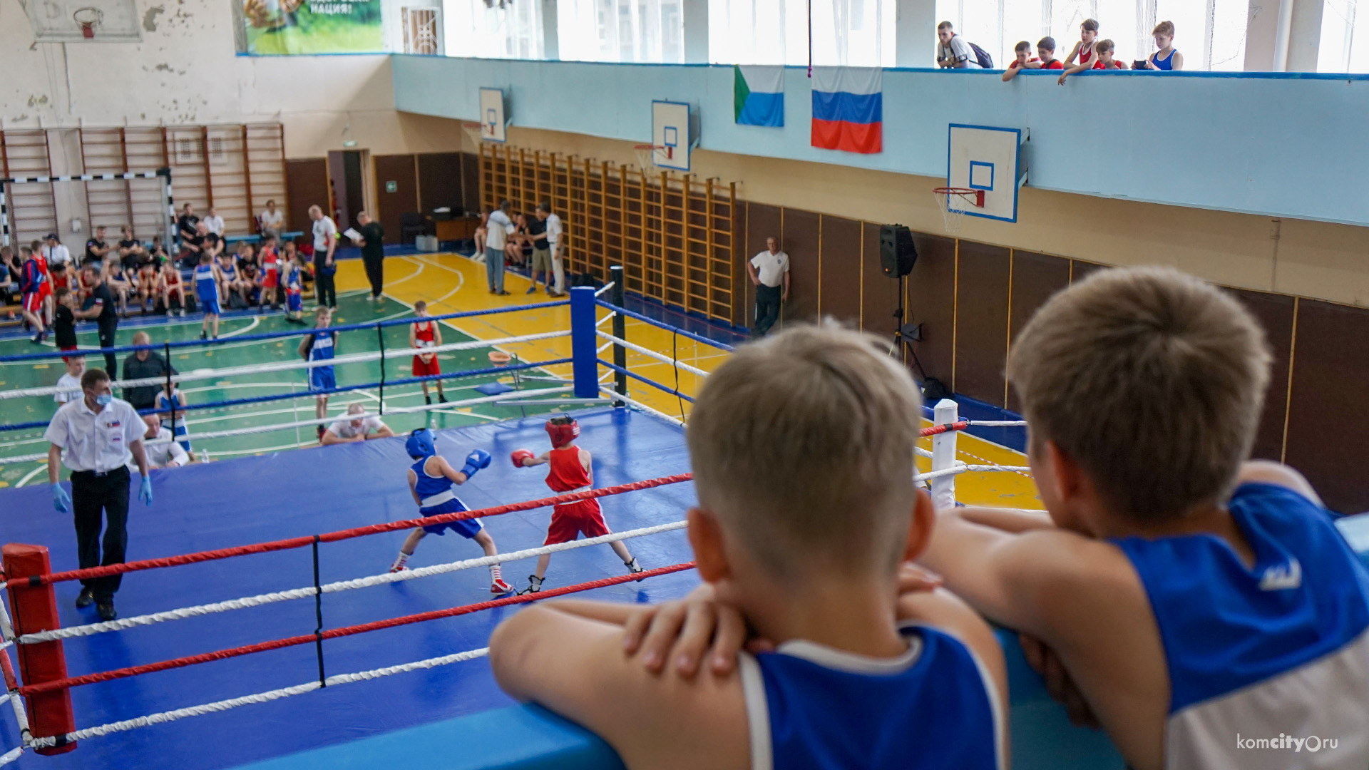 Краевые соревнования по боксу в г Краснодаре